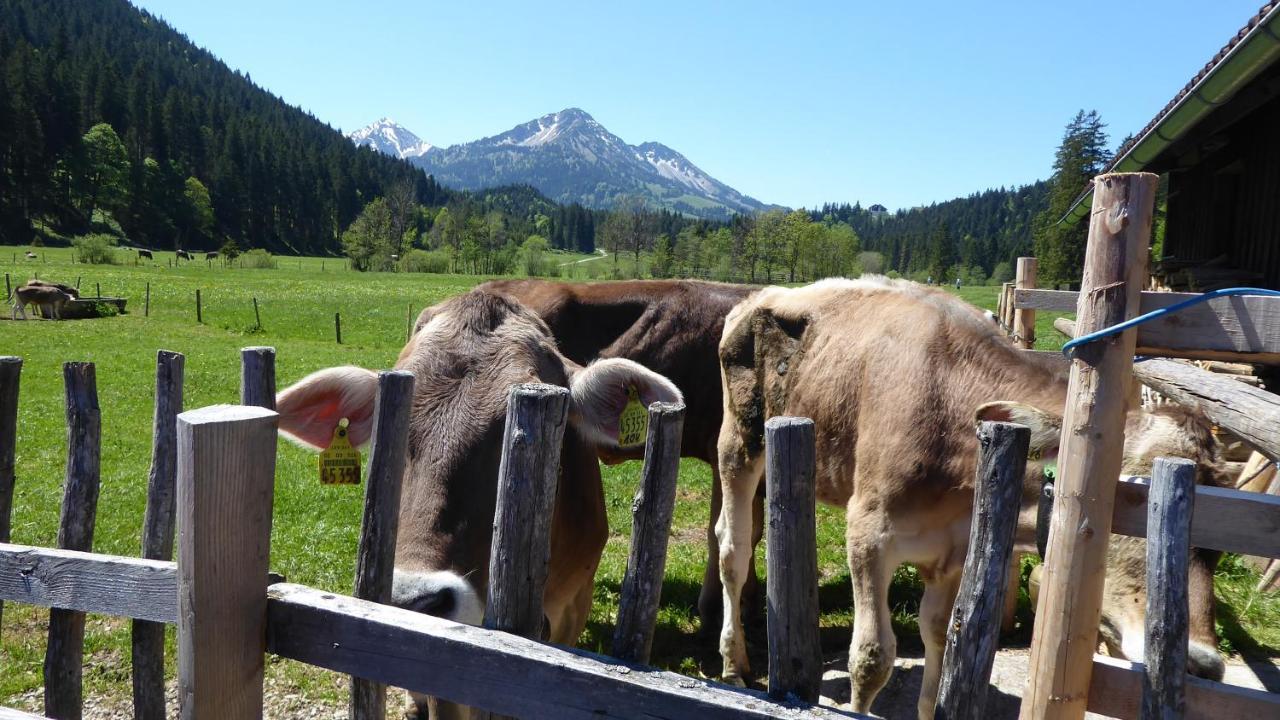 Apartament Fw Weissensee 44 Füssen Zewnętrze zdjęcie