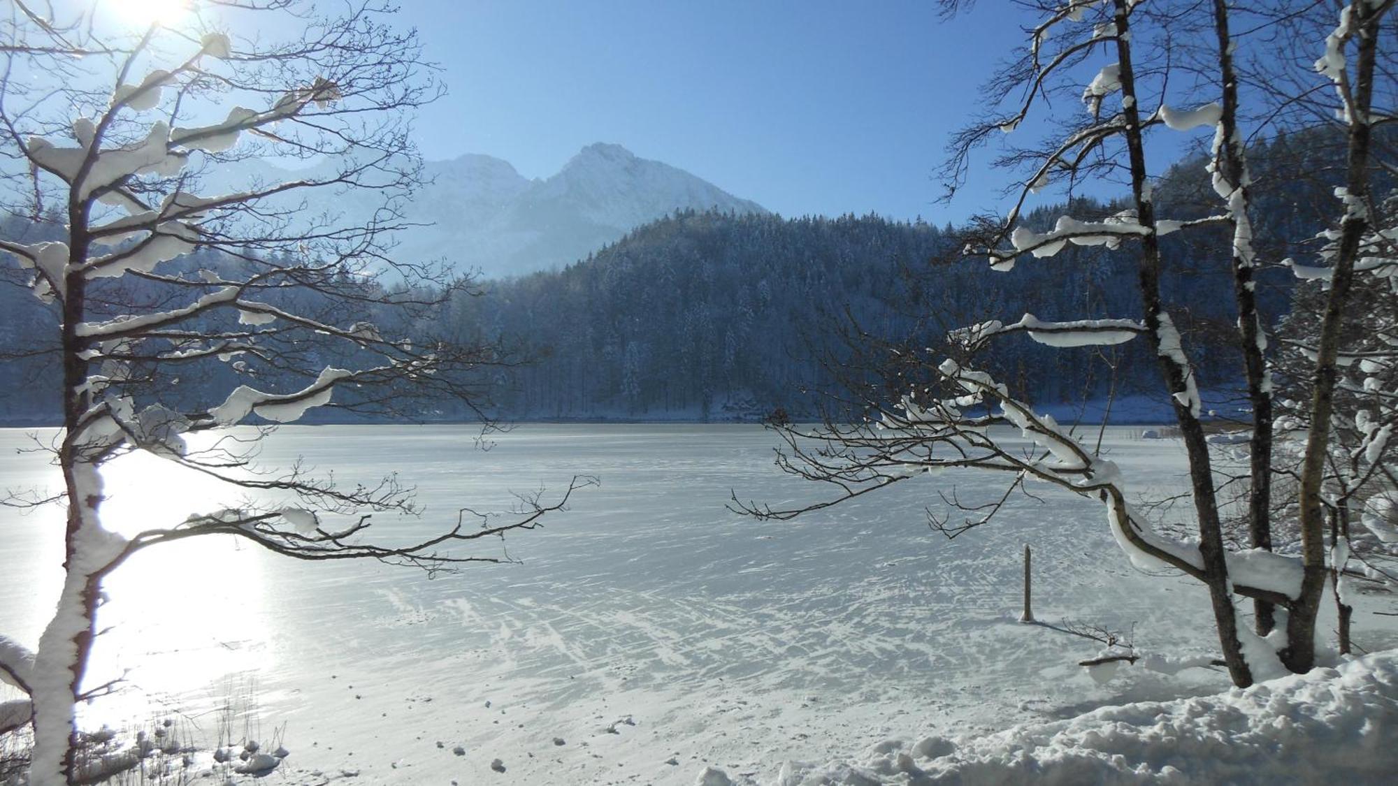 Apartament Fw Weissensee 44 Füssen Zewnętrze zdjęcie