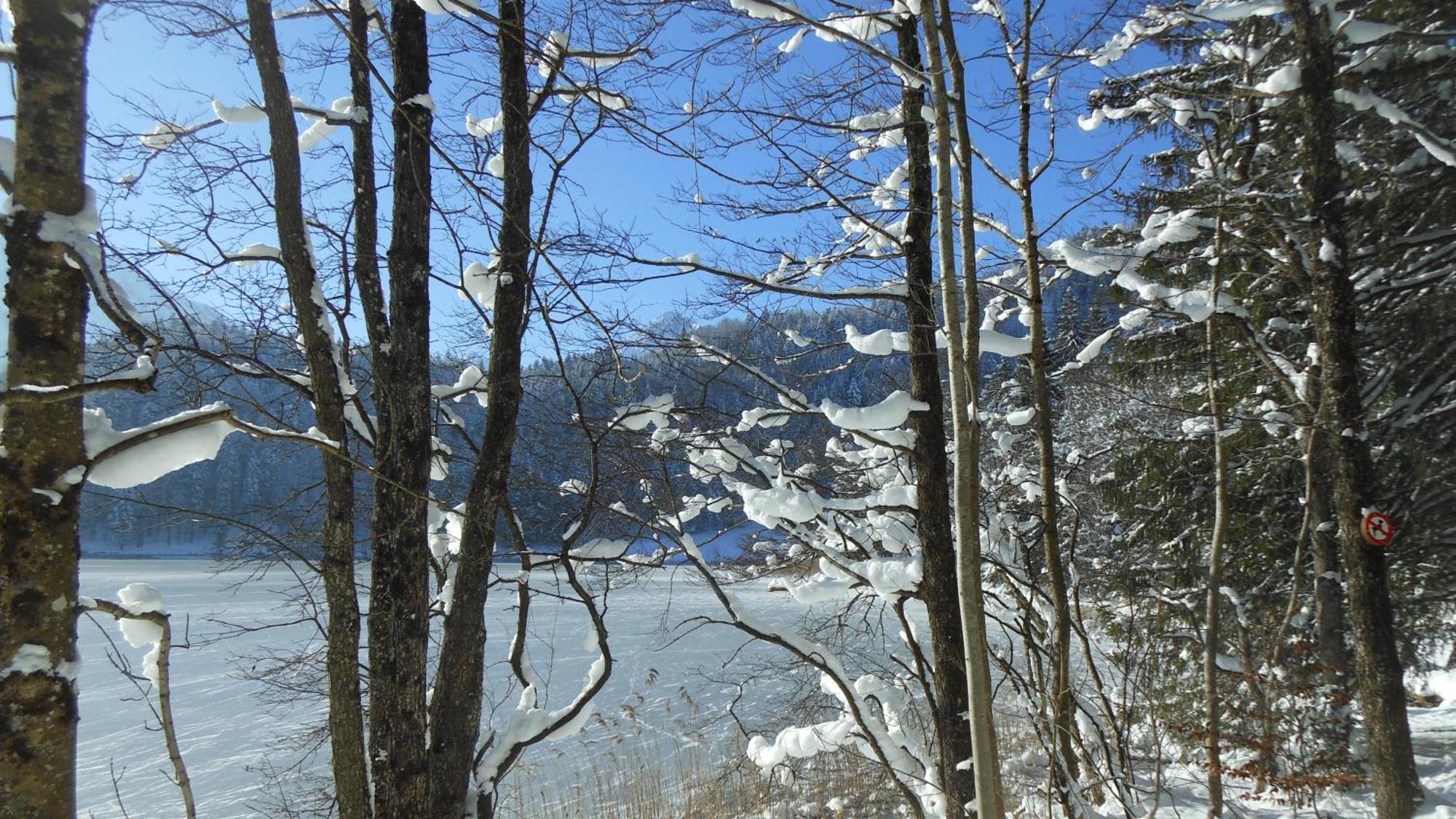 Fw Weissensee 44 Füssen Zewnętrze zdjęcie